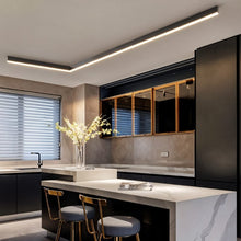 Load image into Gallery viewer, Azora Ceiling Light