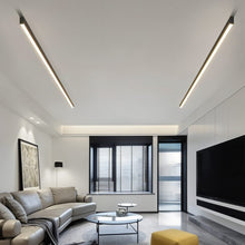Load image into Gallery viewer, Azora Ceiling Light