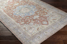 Carregar imagem no visualizador da galeria, Brown Bagamanoc Medallion   Area Rug - Clearance