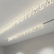 Load image into Gallery viewer, Barden Track Lights