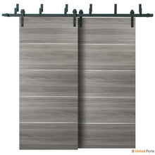 Cargar imagen en el visor de la galería, Planum 0020 Ginger Ash Double Barn Door and Black Bypass Rail