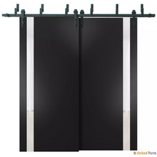 Cargar imagen en el visor de la galería, Planum 0040 Matte Black Double Barn Door with White Glass and Black Bypass Rail