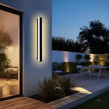Load image into Gallery viewer, Baron Outdoor Wall Lamp