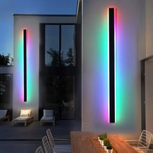 Load image into Gallery viewer, Baron Outdoor Wall Lamp