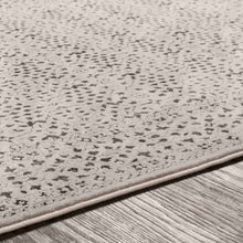 Load image into Gallery viewer, Sattley Area Rug