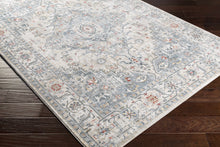 Carregar imagem no visualizador da galeria, Billings Area Rug - Clearance