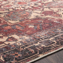 Carregar imagem no visualizador da galeria, Bondville Washable Area Rug - Clearance