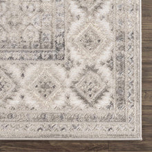 Load image into Gallery viewer, Brend Taupe Medallion Area Rug - Clearance