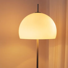 Carregar imagem no visualizador da galeria, Canton Floor Lamp