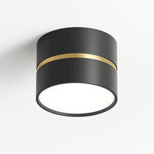 Cargar imagen en el visor de la galería, Chamani Downlight