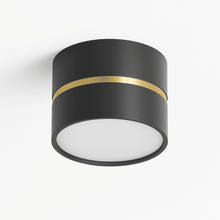 Cargar imagen en el visor de la galería, Chamani Downlight