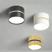 Cargar imagen en el visor de la galería, Chamani Downlight