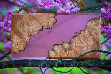 Load image into Gallery viewer, 20-Color Bundle of Epoxy Resin Dyes