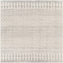 Load image into Gallery viewer, Chinnor Area Rug - Promo