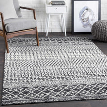 Load image into Gallery viewer, Constantin All-Over Pattern Rug - Promo