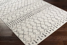 Load image into Gallery viewer, Scandi Moroccan Trellis Rug