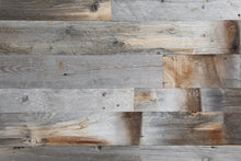 Cargar imagen en el visor de la galería, Coyote Wall Cladding