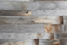 Cargar imagen en el visor de la galería, Coyote Wall Cladding