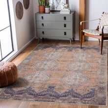 Carregar imagem no visualizador da galeria, Carrabelle Peach Washable Area Rug - Clearance