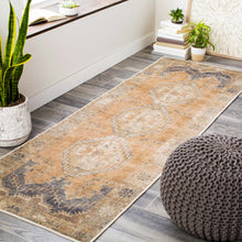 Carregar imagem no visualizador da galeria, Carrabelle Peach Washable Area Rug - Clearance