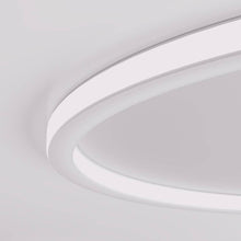 Load image into Gallery viewer, Dayira Ceiling Light