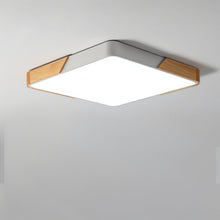 Load image into Gallery viewer, Delphi Ceiling Light