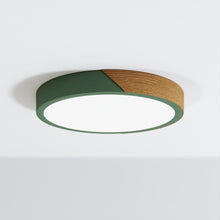 Load image into Gallery viewer, Delphi Ceiling Light