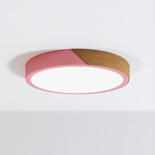 Load image into Gallery viewer, Delphi Ceiling Light