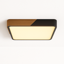 Load image into Gallery viewer, Delphi Ceiling Light