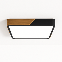 Load image into Gallery viewer, Delphi Ceiling Light