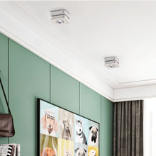 Load image into Gallery viewer, Deltha Downlight