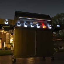 Load image into Gallery viewer, Denali 605Pro | Stainless Smart Propane Gas Grill