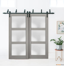 Load image into Gallery viewer, Lucia 2552 Grey Ash Double Barn Door with Frosted Glass | Black Bypass Rails