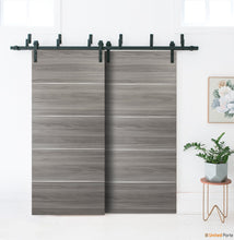 Cargar imagen en el visor de la galería, Planum 0020 Ginger Ash Double Barn Door and Black Bypass Rail