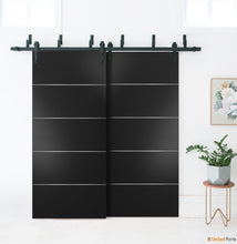 Cargar imagen en el visor de la galería, Planum 0020 Matte Black Double Barn Door and Black Bypass Rail