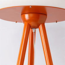 Load image into Gallery viewer, Dorjee Floor Lamp