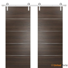 Cargar imagen en el visor de la galería, Planum 0020 Chocolate Ash Double Barn Door and Silver Rail