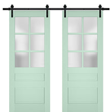Load image into Gallery viewer, Veregio 7339 Oliva Double Barn Door with Frosted Glass and Black Rail
