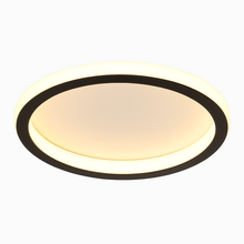 Load image into Gallery viewer, Doveva Ceiling Light