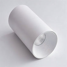 Load image into Gallery viewer, Dowan Downlight