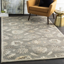 Load image into Gallery viewer, Dulles Area Rug