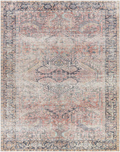 Load image into Gallery viewer, Dunsha Boutique Washable Area Rug - Clearance