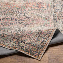 Load image into Gallery viewer, Dunsha Boutique Washable Area Rug - Clearance