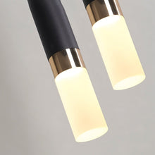 Load image into Gallery viewer, Duple Pendant Light
