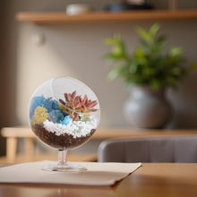 Carregar imagem no visualizador da galeria, 6" Glass Chalice Succulent Terrarium Kit