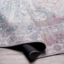 Carregar imagem no visualizador da galeria, Baltinglass Gray Washable Rug - Promo