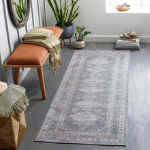 Carregar imagem no visualizador da galeria, Baltinglass Gray Washable Rug - Promo