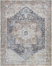 Load image into Gallery viewer, Beige Rosman Washable Area Rug - Promo