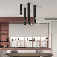 Load image into Gallery viewer, Edwin Downlight