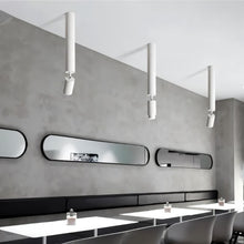 Load image into Gallery viewer, Edwin Downlight